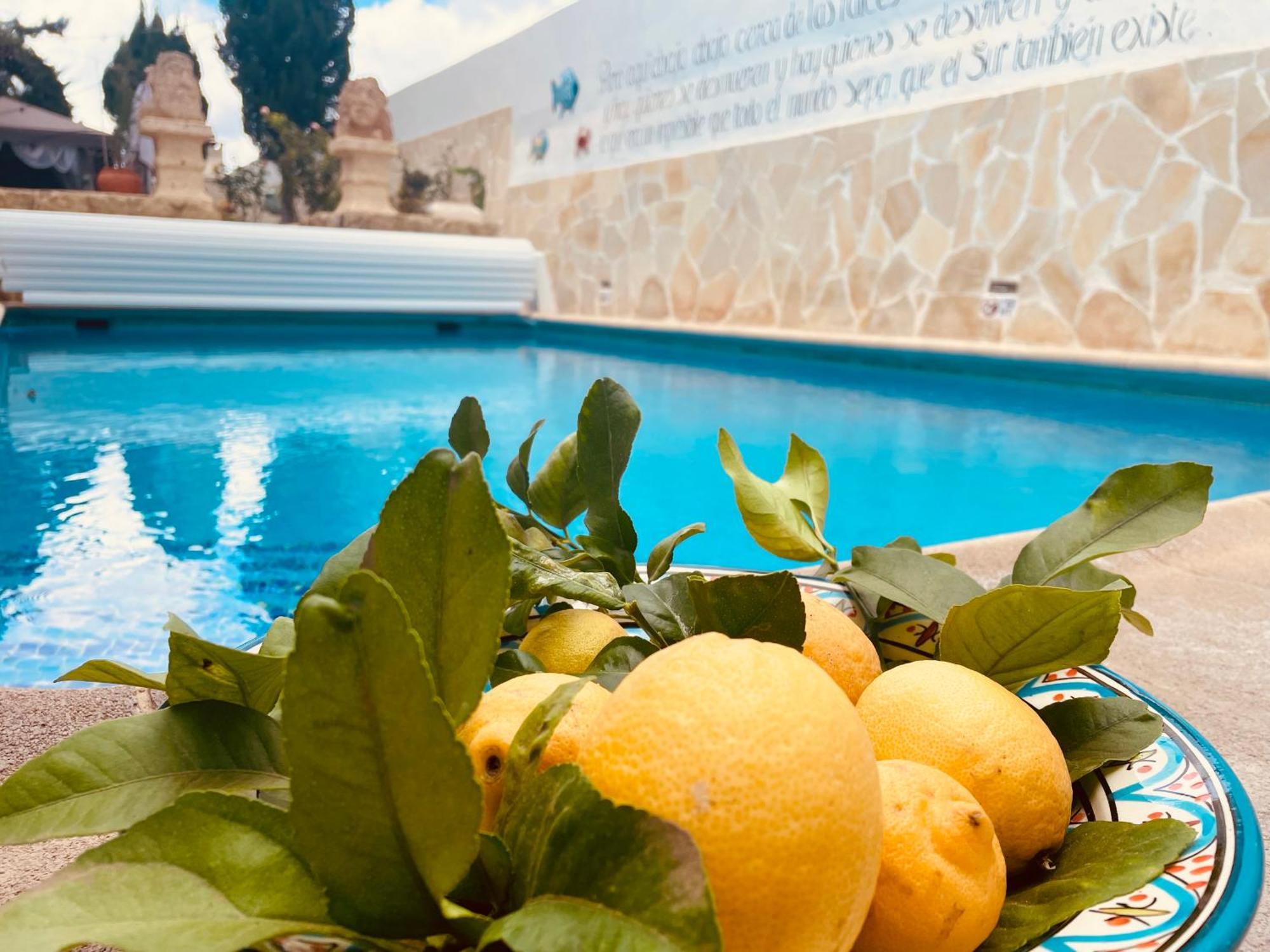 Authentic Canary Style Villa With Private Pool And Garden- Casa Juan Vera Granadilla De Abona Eksteriør bilde